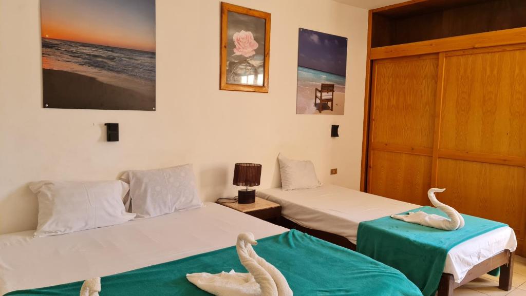 Zak Inn - Economy Single Room