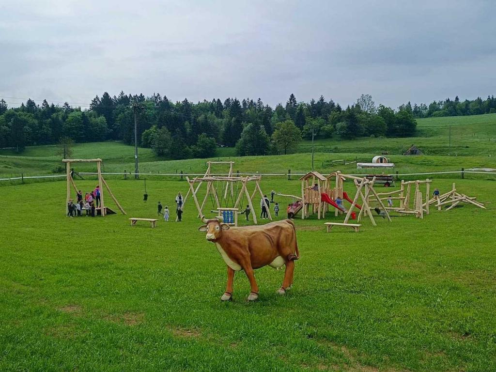 Zvířata v kempu nebo okolí
