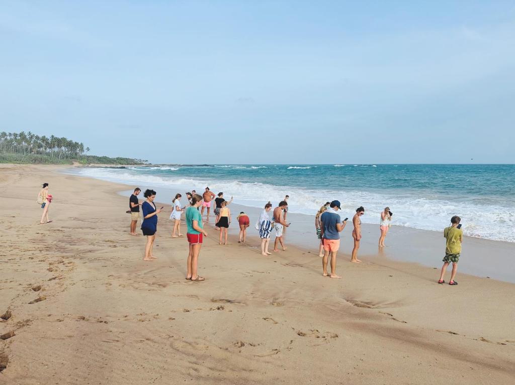 Ospiti di Shine Wave Turtle Beach