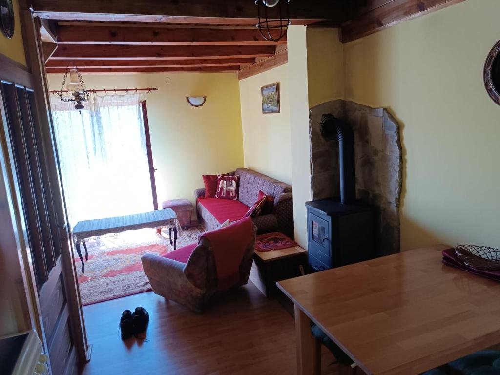 Ruang duduk di Vila Mitrović