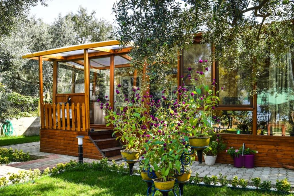 um jardim com um gazebo e algumas plantas em Tiny House Village em İznik