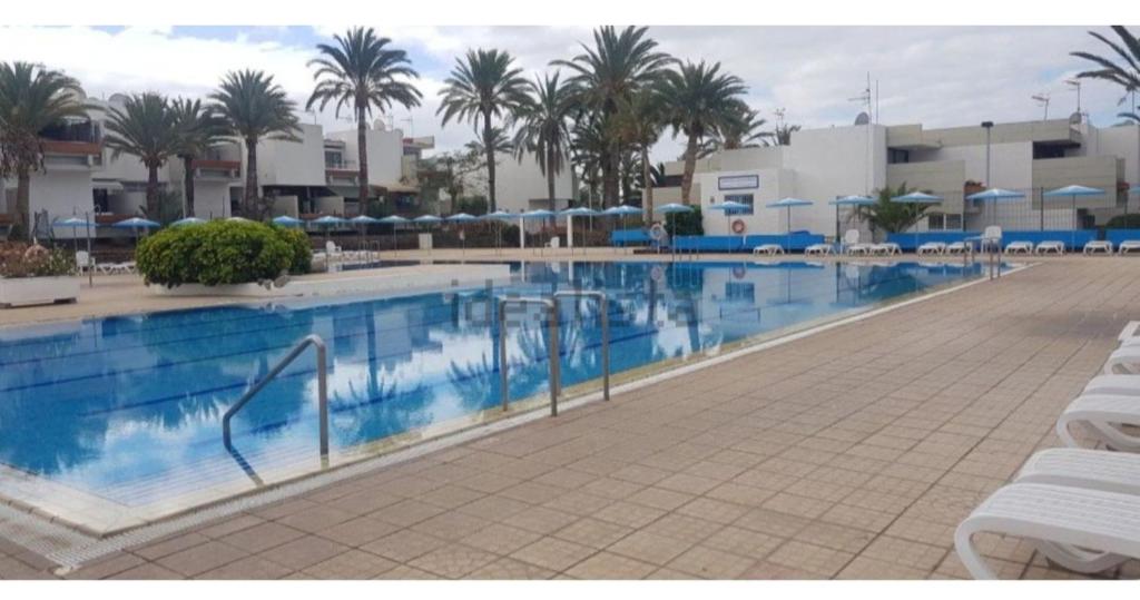 a large swimming pool in a resort with palm trees at Lovely apartment with pool in Costa Del Silencio
