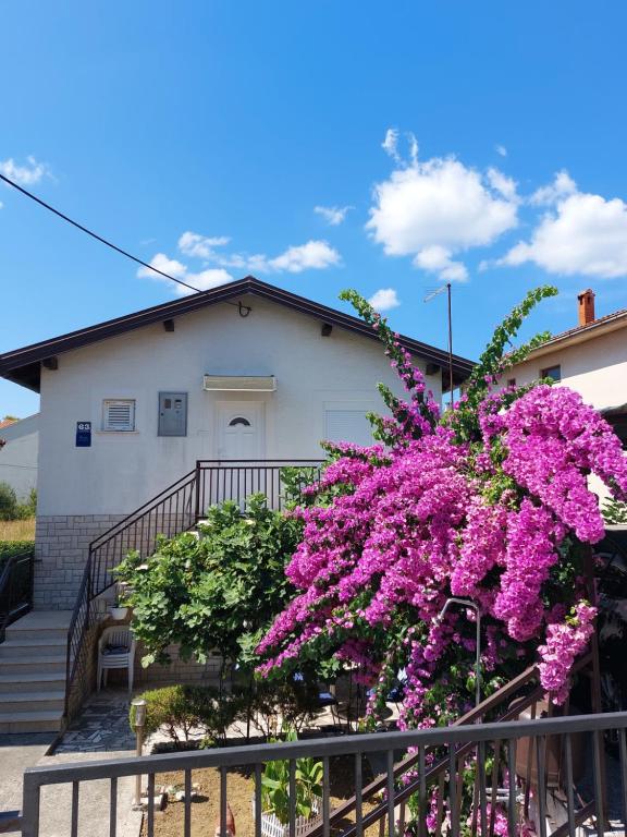 Ogród w obiekcie Apartment Borik