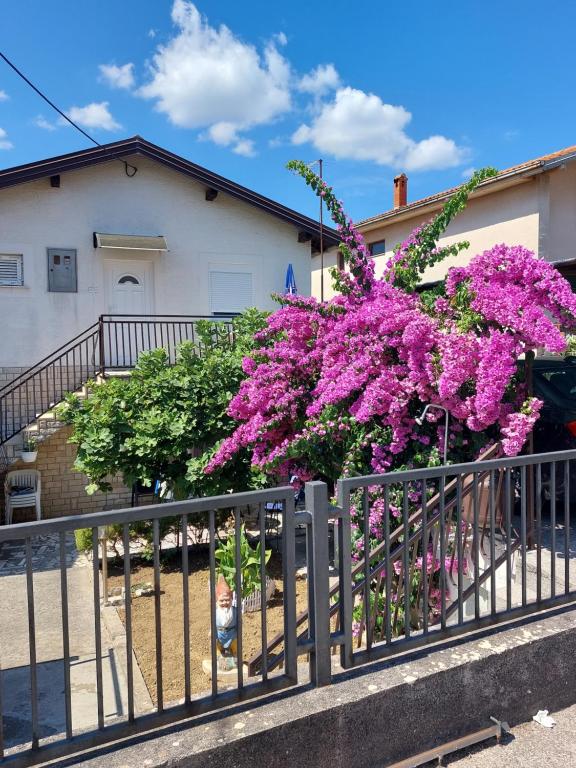 a fence with purple flowers in front of a house at Apartment Borik in Zadar