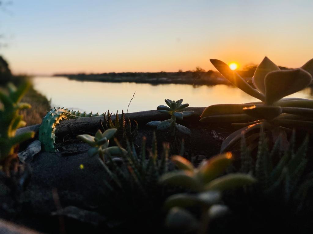 un tramonto su un corpo idrico con piante di Kuvira River Camp a Divundu