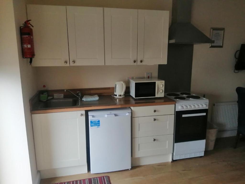 Kuchyň nebo kuchyňský kout v ubytování Tara View Apartments
