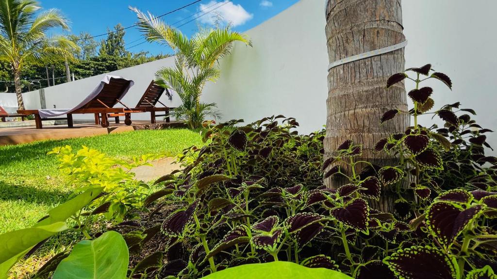 Résidence Autentik Garden - 5