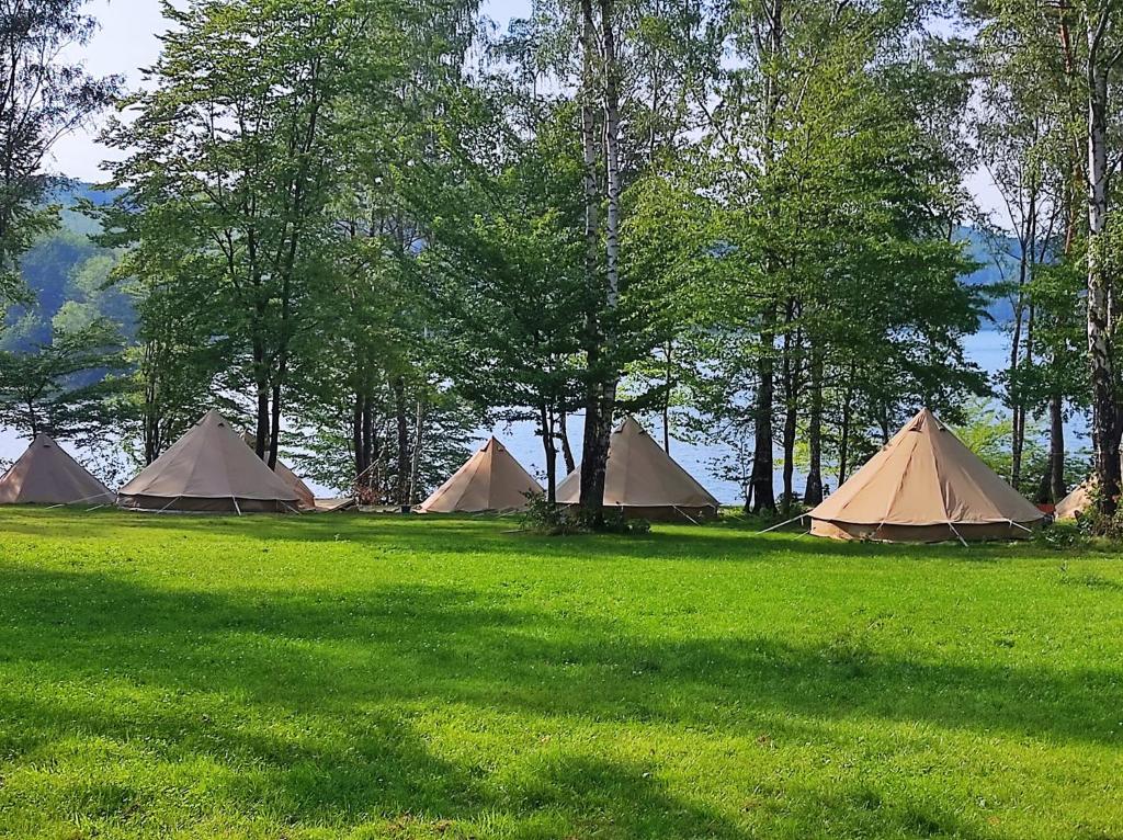 un grupo de tiendas de campaña en un campo con árboles en SolinaGlamp, en Polańczyk