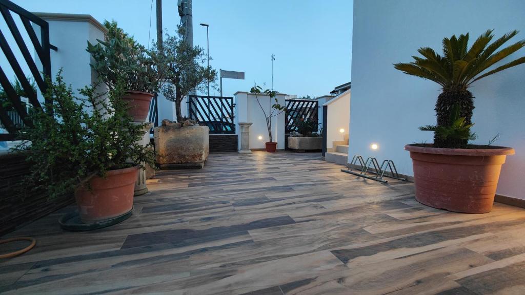 Balkón nebo terasa v ubytování Helianthus Rooms