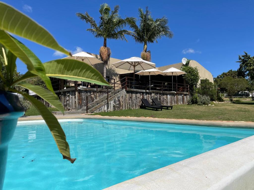 a resort with a pool and palm trees and umbrellas at Howberry Hills in Plettenberg Bay
