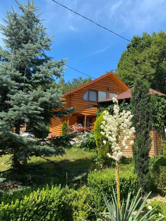 Карпатська Модрина - Twee Slaapkamers Villa