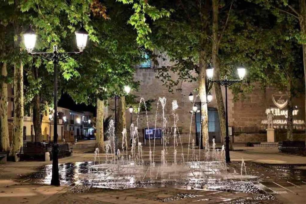 a fountain in the middle of a park at night at Apto. Singular en la Mancha Banco de Inversiones in Argamasilla de Alba