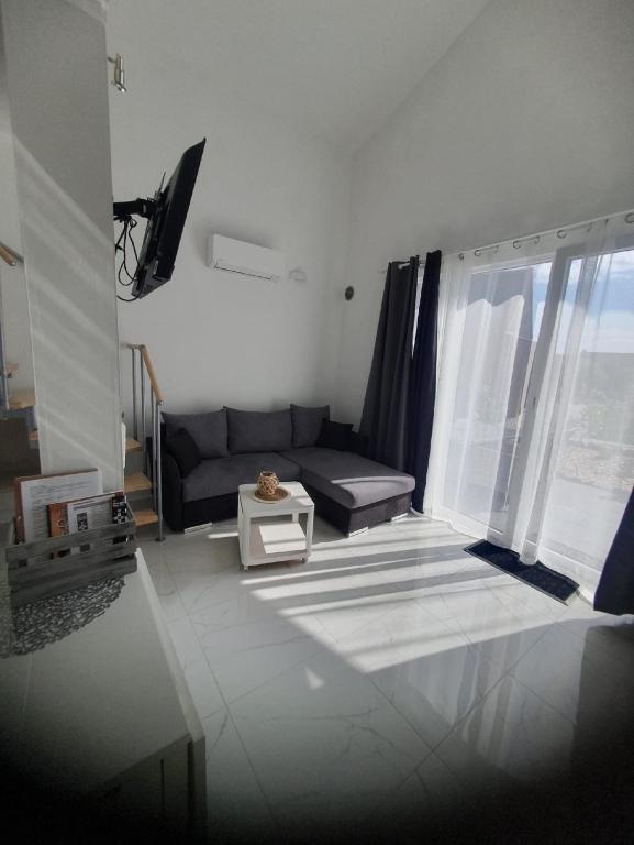 TV a/nebo společenská místnost v ubytování Rhön Apartments
