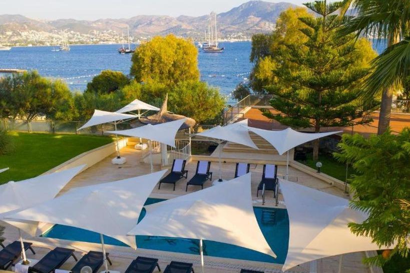 ein Pool mit weißen Sonnenschirmen und Stühlen neben dem Wasser in der Unterkunft Farrys Boutique Hotel & Beach Club - Yalıkavak in Yalıkavak