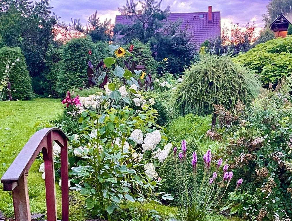 Ogród w obiekcie Apartament Loftowy- Bory Tucholskie