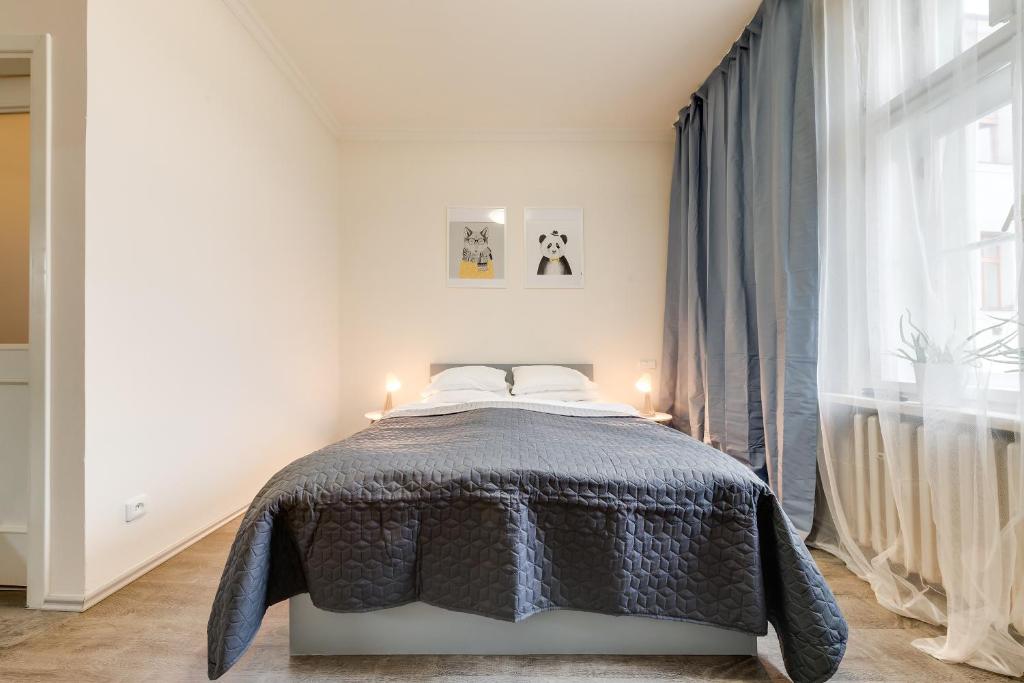 Vita Nejedleho apartments - Studio Apartment