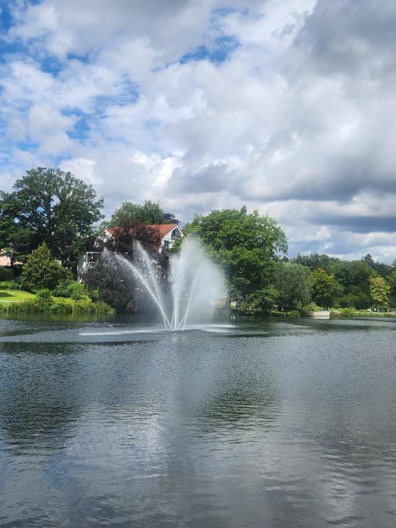 a fountain in the middle of a lake at Hotel Haus am See in Bad Salzuflen