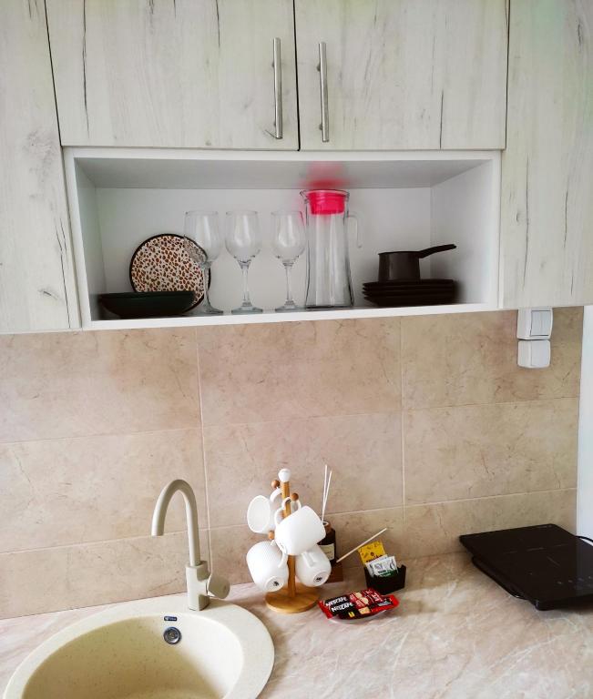 Kuhinja ili čajna kuhinja u objektu Apartman Boba Vrnjačka Banja