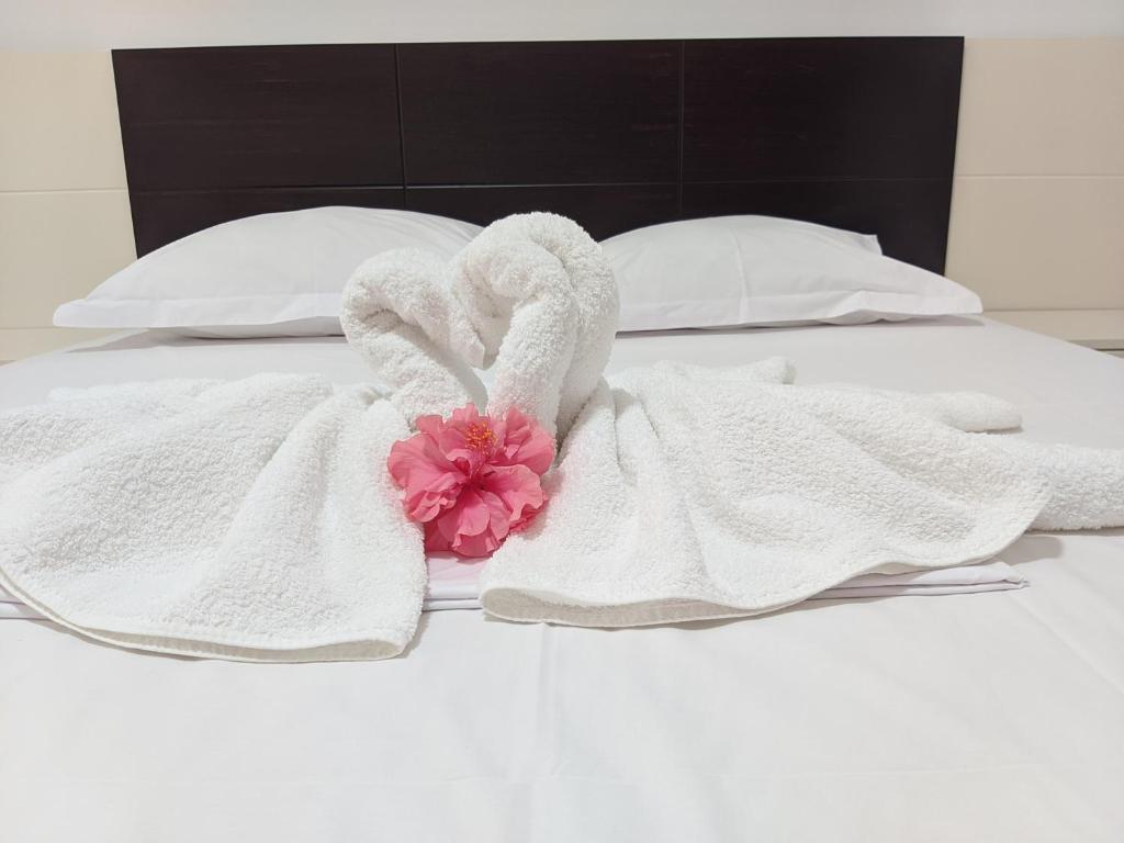 Ohanaa Apartament - Imazhi 3