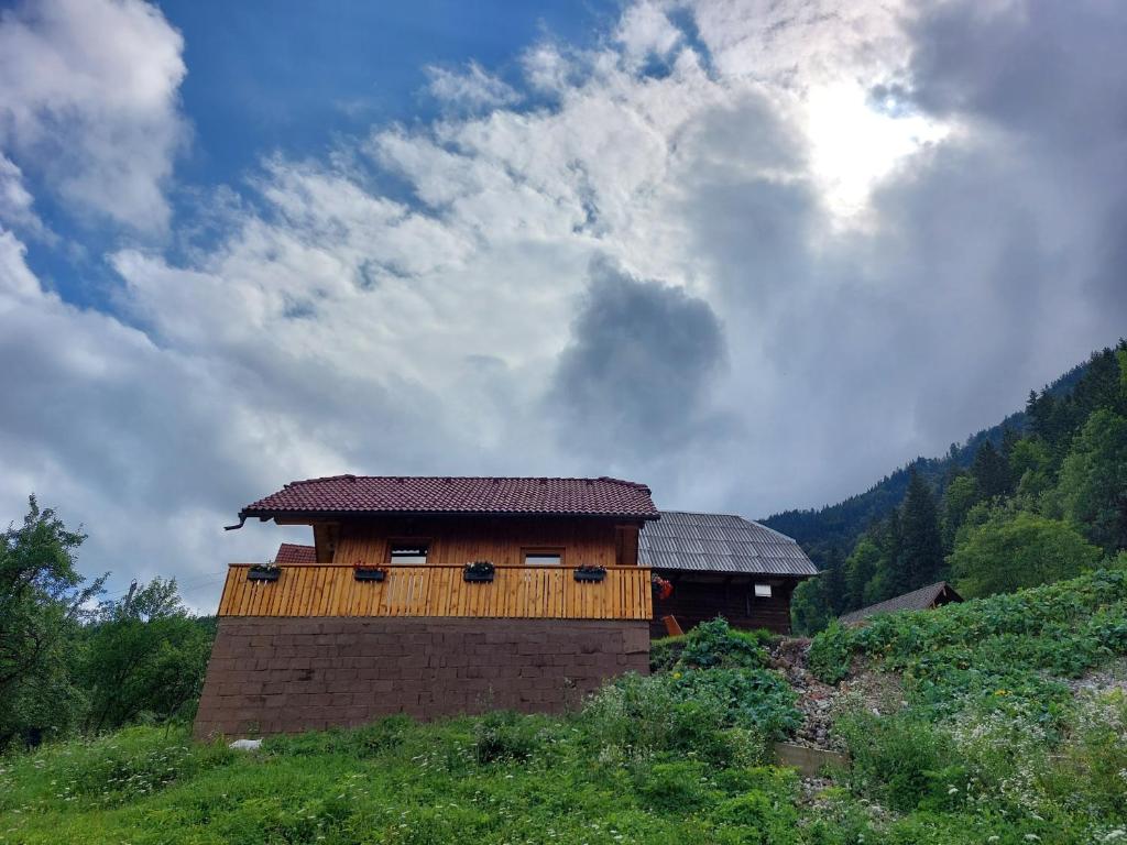 Paesaggio naturale nelle vicinanze della casa vacanze