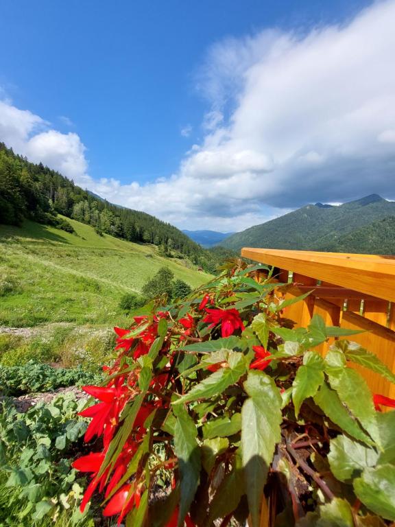 Paesaggio naturale nelle vicinanze della casa vacanze