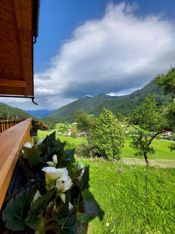Paesaggio naturale nelle vicinanze della casa vacanze