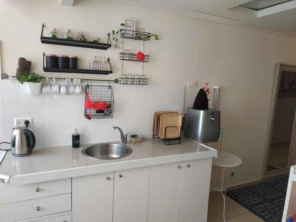 Kuchyň nebo kuchyňský kout v ubytování bugrashov 13 room