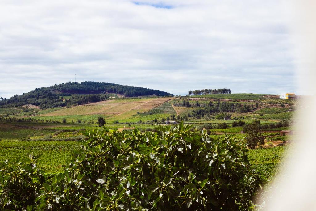 ein grünes Feld mit einem Hügel in der Ferne in der Unterkunft CHALÉ in Alijó