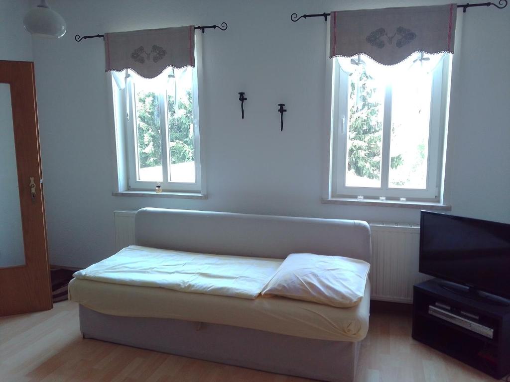 a room with a bed and two windows with a tv at Ferienwohnung Zuschke in Klipphausen