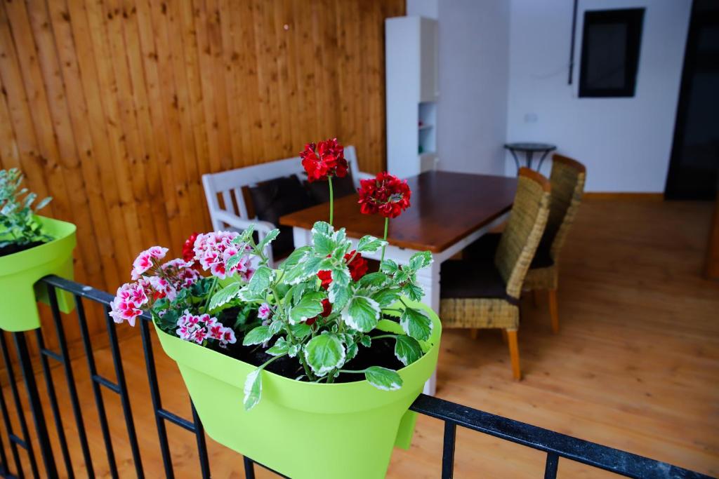 Floasiu Residence Guesthouse - Penthouse Apartment