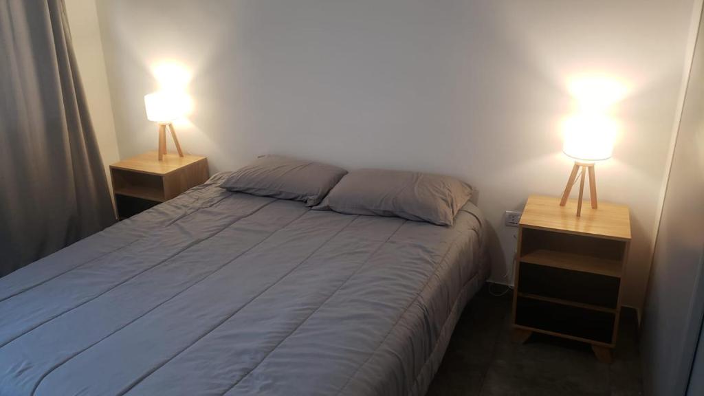 1 dormitorio con 1 cama y 2 lámparas en 2 mesas en Montiel 364 en Buenos Aires