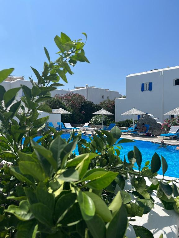 Fotografie z fotogalerie ubytování Anemos Hotel & Apartments v destinaci Ornos