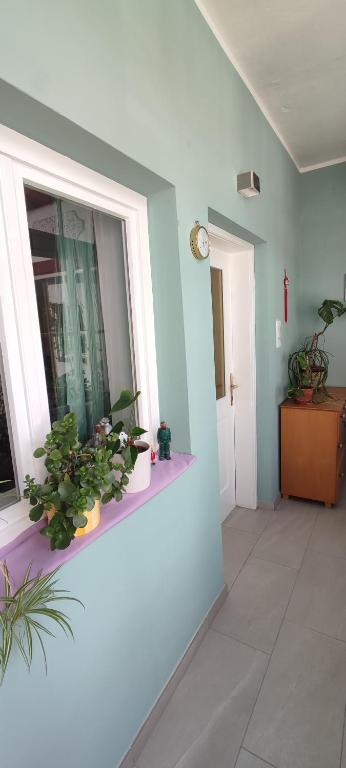 Fotografie z fotogalerie ubytování Gästezimmer & Apartment Mayrhofer v destinaci Waidhofen an der Ybbs