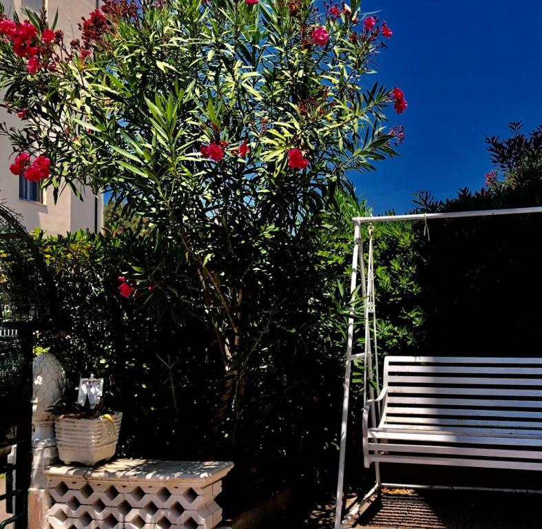 a tree with red flowers next to a bench at L'angolo della felicità in Marina di Montenero
