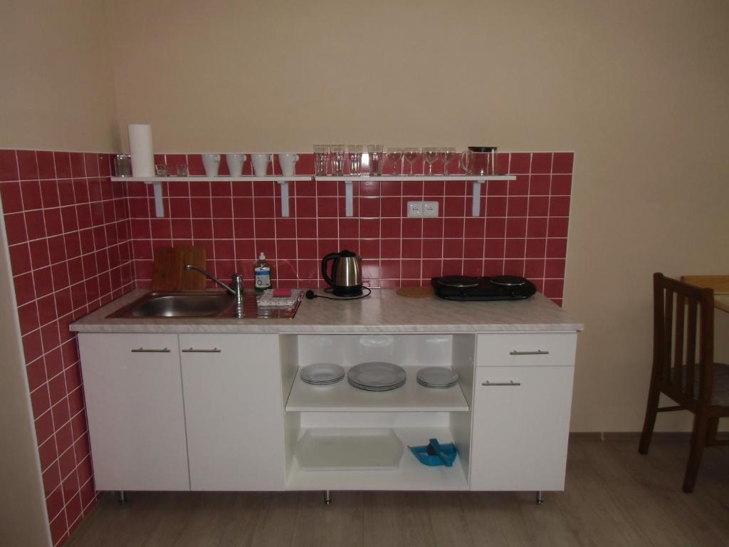 Kuchyň nebo kuchyňský kout v ubytování Penzion Sarton