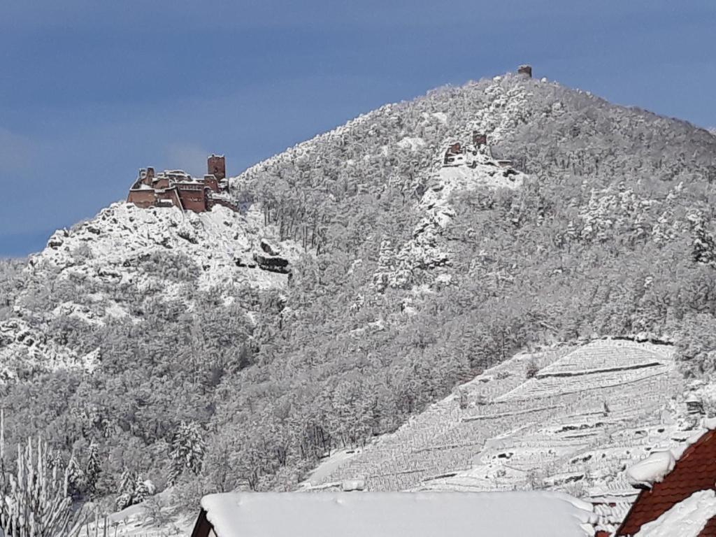 GITE KIENTZLER – photo 12