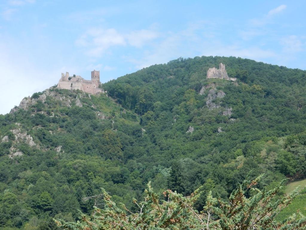 GITE KIENTZLER – photo 13