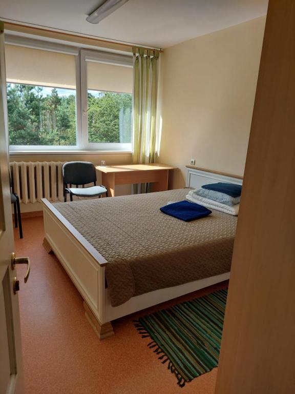 1 dormitorio con cama, escritorio y ventana en VšĮ Veiklus Rietavas apgyvendinimas, en Rietavas