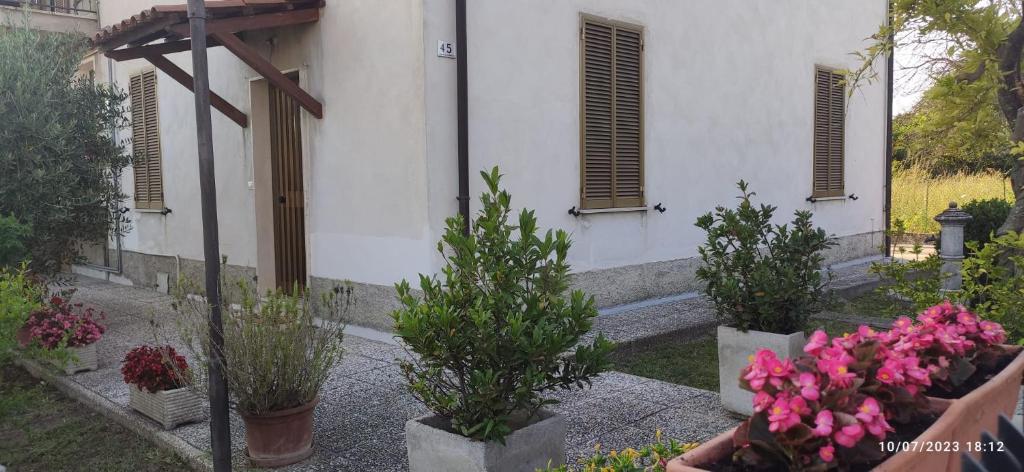 einen Blumengarten vor einem Gebäude in der Unterkunft Alloggio tra Terni e Narni in Terni