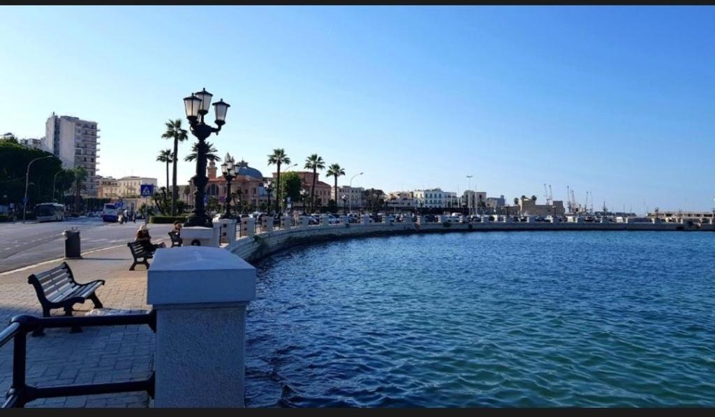 a large pool of water with a bench in a city at Dimora Falcone in Bari