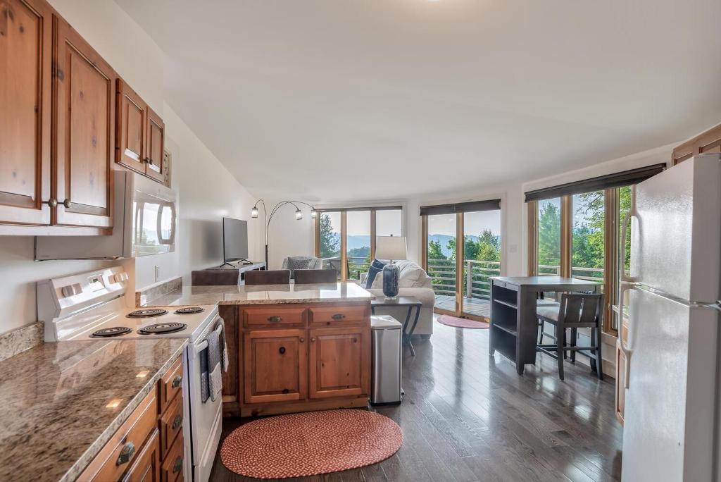 Kuchyň nebo kuchyňský kout v ubytování Amazing Town Mountain Getaway