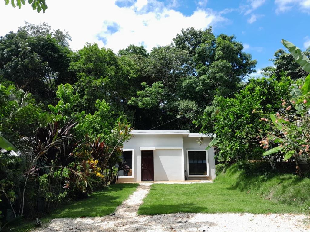 a small white house in the middle of trees at Mi casita in Montezuma