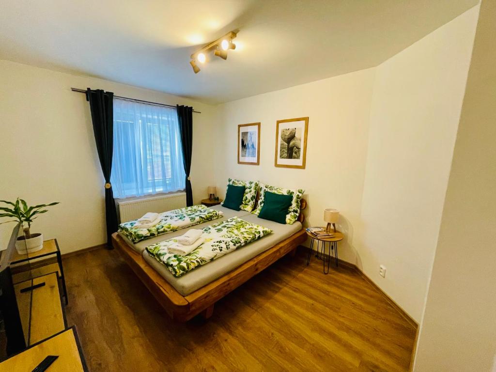 Karlovice的住宿－Rodinný apartmán v Karlovicích，一间卧室设有一张床和一个窗口