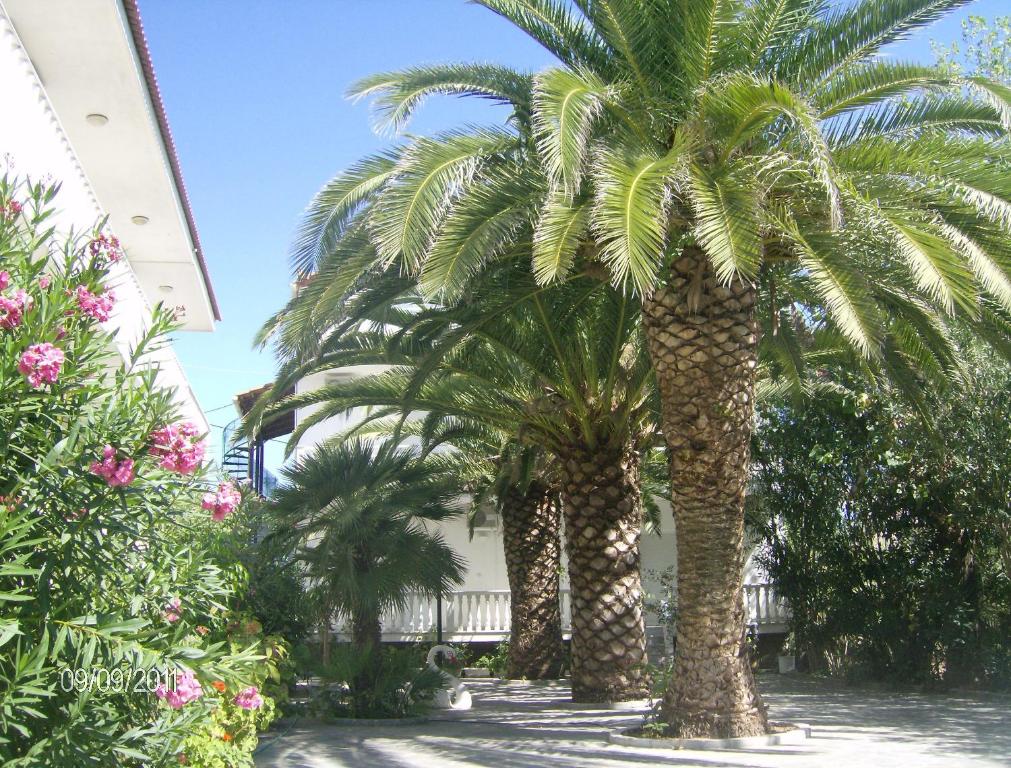 Villa Daizy Boutique Apartments - 19