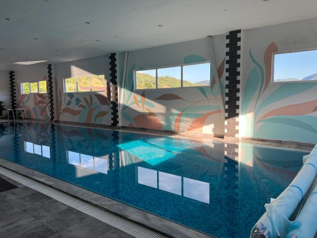 a large swimming pool with a painting on the wall at Spa Clisura Dunarii in Eşelniţa