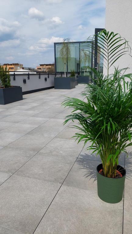 Hostel OPEN GARDEN - 19