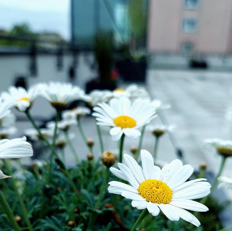 Hostel OPEN GARDEN - 16