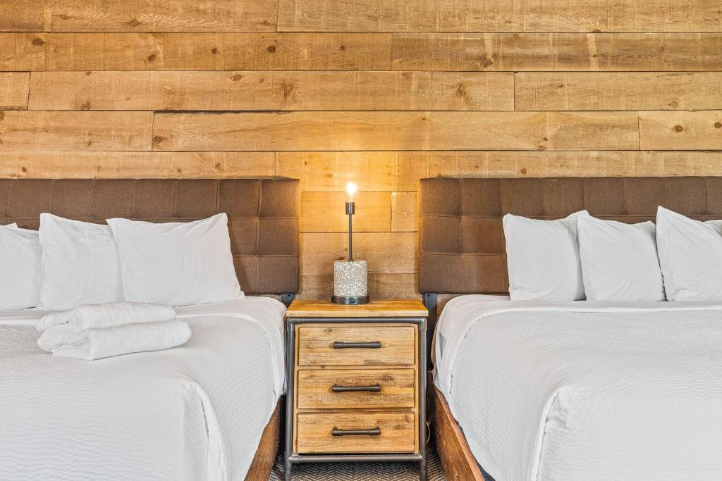 two beds sitting next to each other in a room at Basecamp Lodge Canmore in Canmore