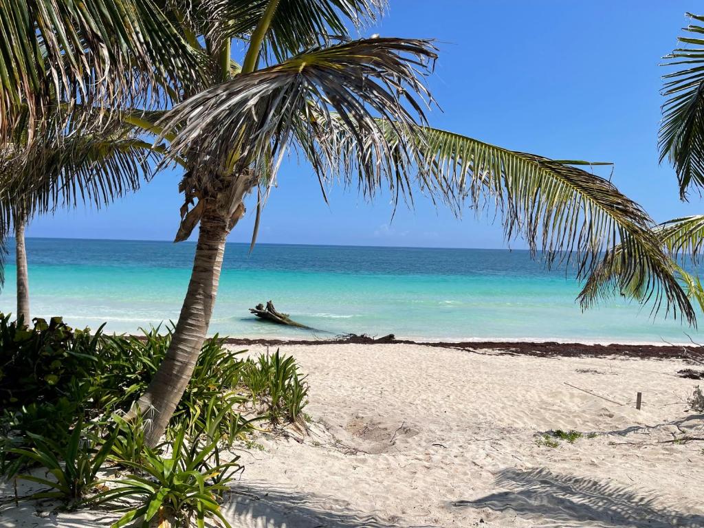 Casa Phoenix Tulum