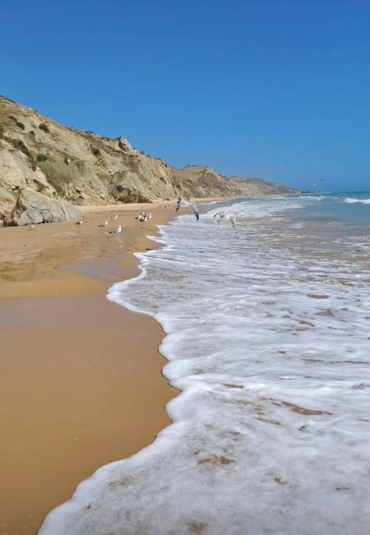 a beach with a bunch of birds standing in the water at La Foggia seaside paradise in Siculiana